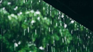 晴耕雨読