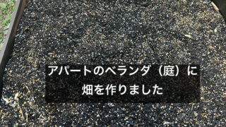 アパートのベランダ（庭）に畑をつくりました！